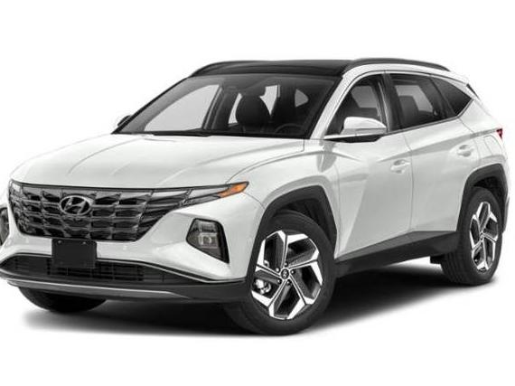 HYUNDAI TUCSON 2023 5NMJECAE6PH177566 image