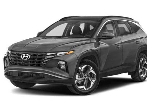 HYUNDAI TUCSON 2023 KM8JFCA16PU091673 image