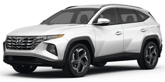 HYUNDAI TUCSON 2023 5NMJBCAE0PH242341 image