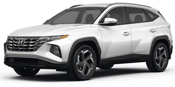 HYUNDAI TUCSON 2023 5NMJBCAE6PH284061 image