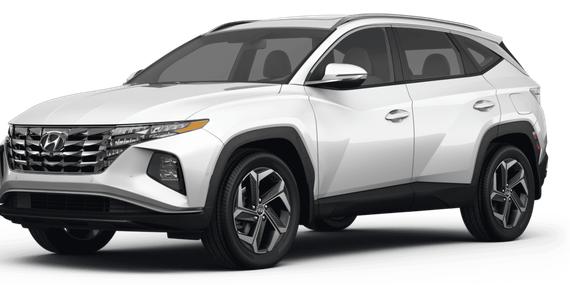 HYUNDAI TUCSON 2023 KM8JBCA11PU123943 image