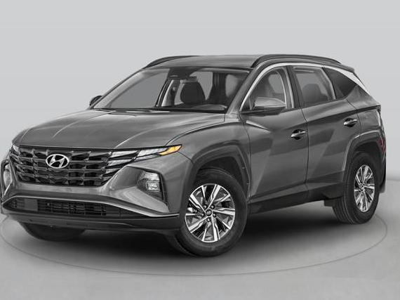 HYUNDAI TUCSON 2023 KM8JFCA13PU104749 image