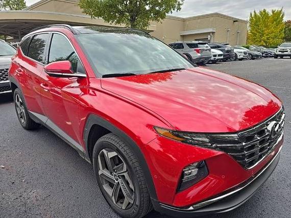 HYUNDAI TUCSON 2023 5NMJECAE2PH271198 image