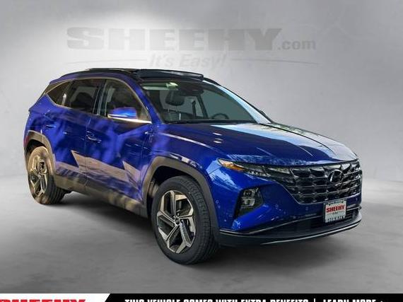 HYUNDAI TUCSON 2023 5NMJECAE9PH219471 image