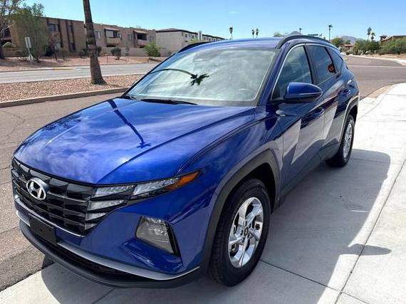 HYUNDAI TUCSON 2023 5NMJBCAE4PH216387 image