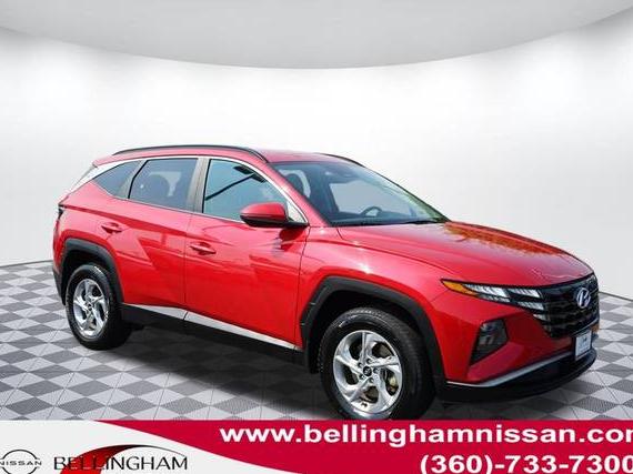 HYUNDAI TUCSON 2023 5NMJBCAE3PH245668 image
