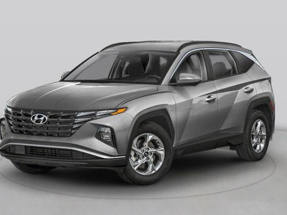 HYUNDAI TUCSON 2023 5NMJBCAE9PH192541 image