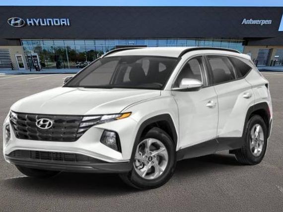 HYUNDAI TUCSON 2023 5NMJBCAE8PH249392 image
