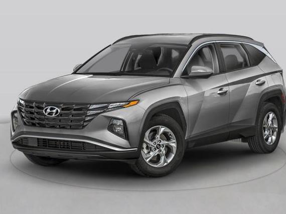HYUNDAI TUCSON 2023 5NMJFCAE3PH256125 image