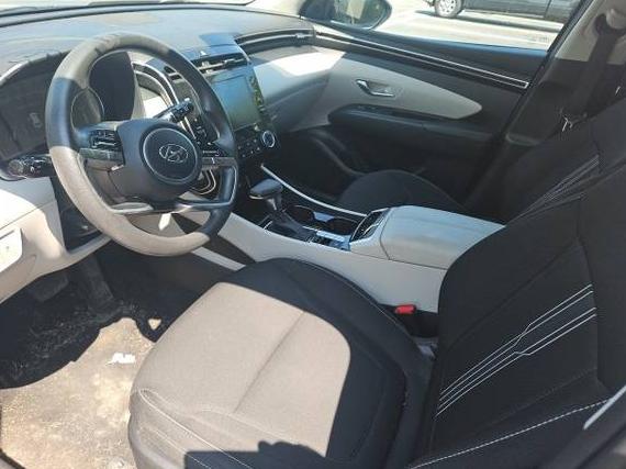HYUNDAI TUCSON 2023 5NMJBCAE1PH217318 image