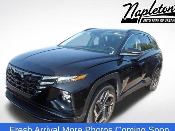HYUNDAI TUCSON 2023 5NMJECAE0PH182973 image