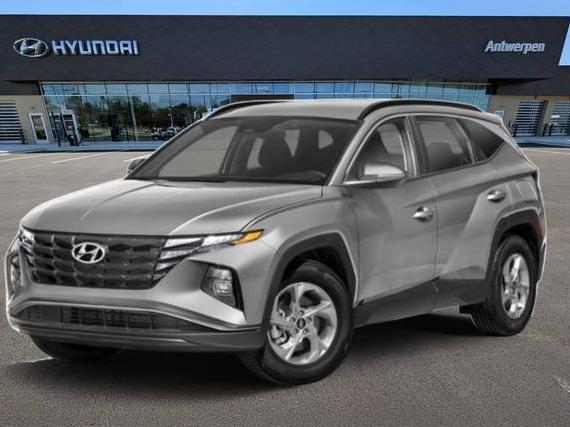 HYUNDAI TUCSON 2023 5NMJBCAE8PH245620 image