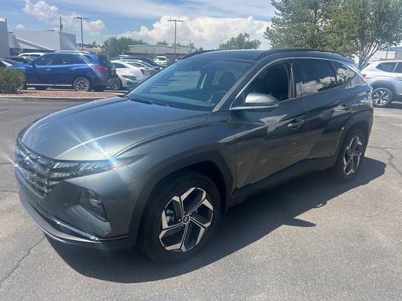 HYUNDAI TUCSON 2023 KM8JECA1XPU129991 image