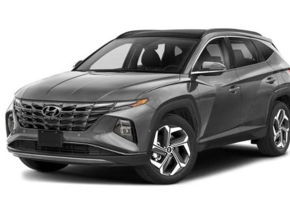 HYUNDAI TUCSON 2023 5NMJECAEXPH272079 image