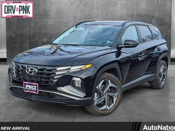 HYUNDAI TUCSON 2023 KM8JFCA12PU128346 image