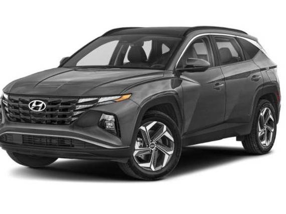 HYUNDAI TUCSON 2023 KM8JFCA12PU114964 image