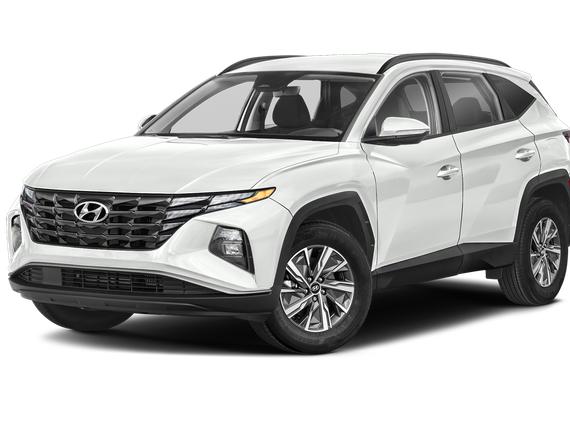HYUNDAI TUCSON 2023 KM8JBCA1XPU085838 image