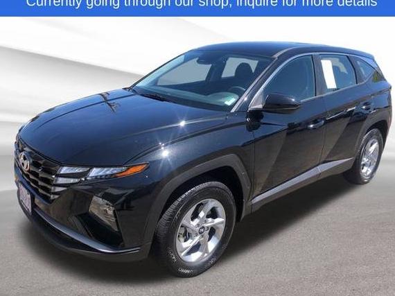 HYUNDAI TUCSON 2023 5NMJACAE1PH280826 image