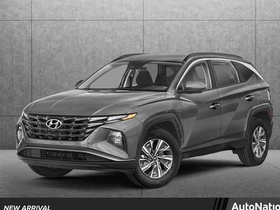 HYUNDAI TUCSON 2023 KM8JBCA19PU099617 image