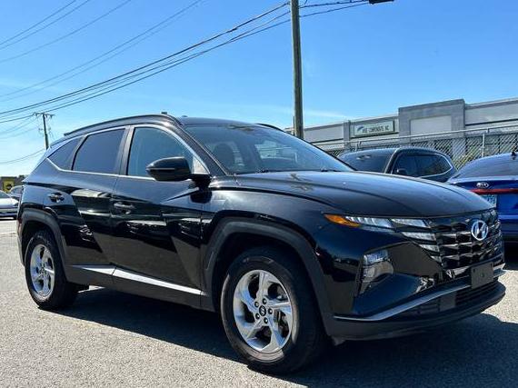 HYUNDAI TUCSON 2023 5NMJBCAE4PH223761 image HYUNDAI TUCSON 2023 5NMJBCAE4PH223761 image