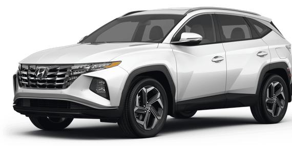 HYUNDAI TUCSON 2023 KM8JBCA16PU130225 image