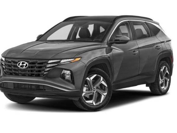 HYUNDAI TUCSON 2023 KM8JBCA1XPU103495 image