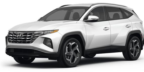HYUNDAI TUCSON 2023 5NMJBCAEXPH288405 image