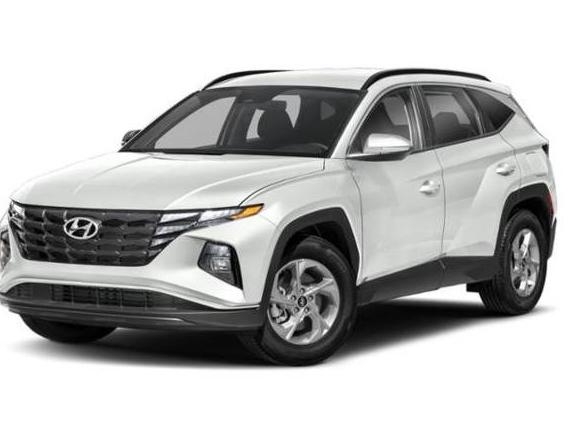 HYUNDAI TUCSON 2023 5NMJFCAE2PH250347 image
