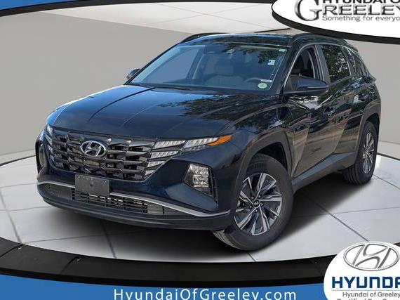 HYUNDAI TUCSON 2023 KM8JBCA17PU101462 image