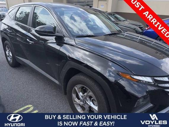 HYUNDAI TUCSON 2023 5NMJA3AE6PH195299 image