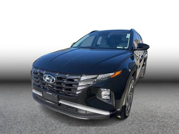 HYUNDAI TUCSON 2023 KM8JFCA1XPU088940 image HYUNDAI TUCSON 2023 KM8JFCA1XPU088940 image