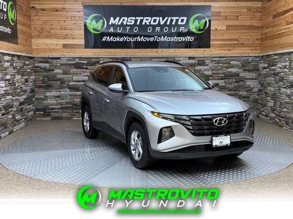 HYUNDAI TUCSON 2023 5NMJBCAE3PH235402 image