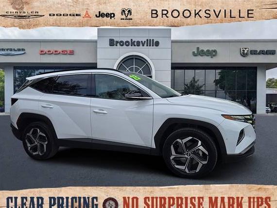 HYUNDAI TUCSON 2023 5NMJECAE0PH287545 image
