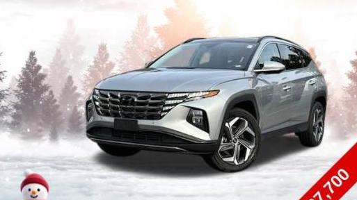 HYUNDAI TUCSON 2023 5NMJECAE6PH205950 image