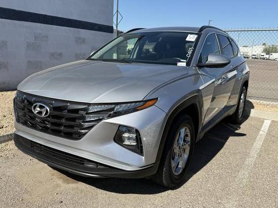 HYUNDAI TUCSON 2023 5NMJBCAE6PH264442 image
