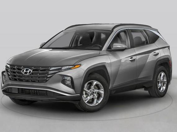 HYUNDAI TUCSON 2023 5NMJACAE4PH201990 image