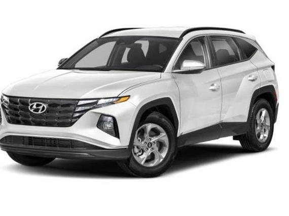 HYUNDAI TUCSON 2023 5NMJBCAE5PH239032 image
