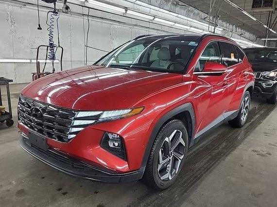 HYUNDAI TUCSON 2023 5NMJECAE8PH202922 image