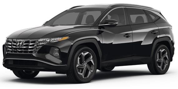 HYUNDAI TUCSON 2023 5NMJBCAE4PH252886 image