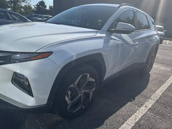 HYUNDAI TUCSON 2023 5NMJF3AE8PH246397 image