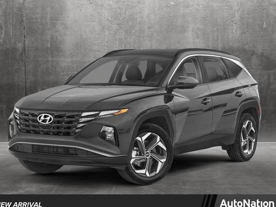 HYUNDAI TUCSON 2023 KM8JFCA14PU111306 image