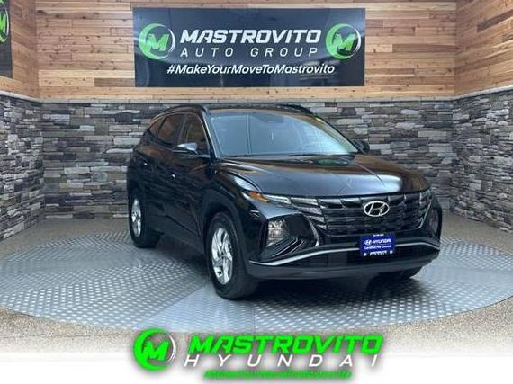 HYUNDAI TUCSON 2023 5NMJBCAE4PH269087 image