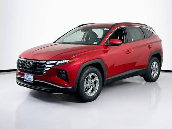 HYUNDAI TUCSON 2023 5NMJBCAE9PH233928 image