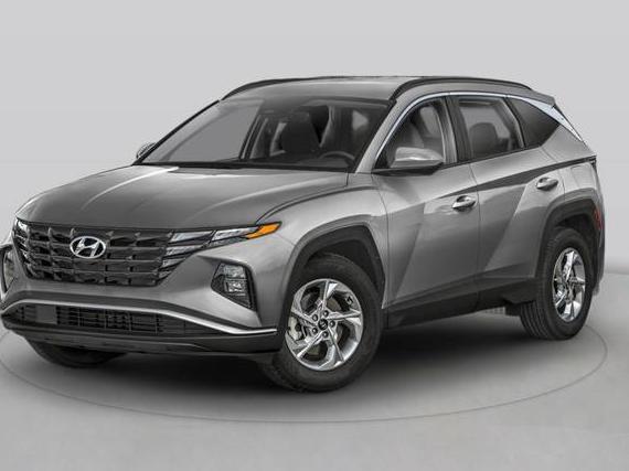 HYUNDAI TUCSON 2023 5NMJECAE2PH218713 image