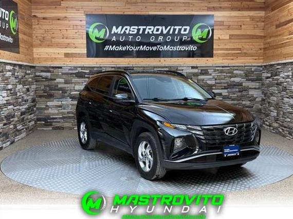 HYUNDAI TUCSON 2023 5NMJBCAE4PH284222 image