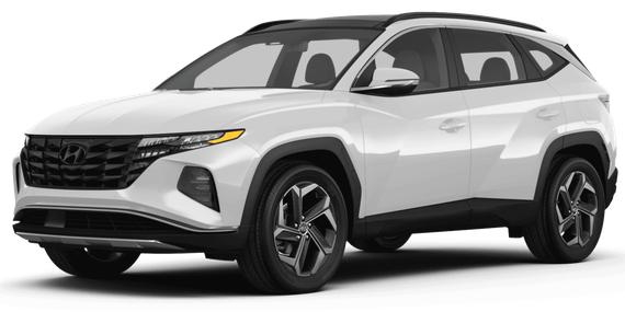 HYUNDAI TUCSON 2023 KM8JECA13PU135471 image