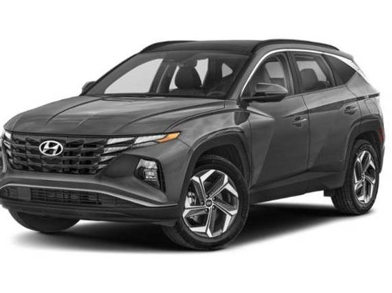 HYUNDAI TUCSON 2023 KM8JFCA10PU132766 image