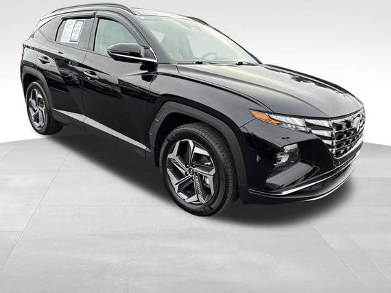 HYUNDAI TUCSON 2023 KM8JECA10PU120328 image