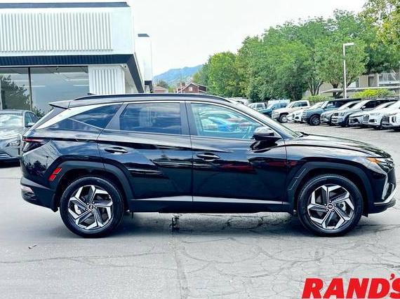 HYUNDAI TUCSON 2023 KM8JFCA13PU095826 image