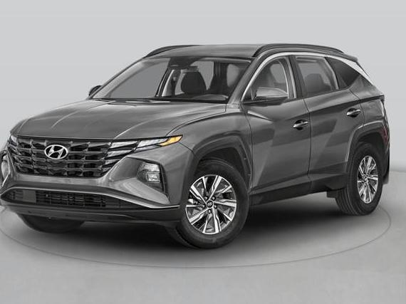 HYUNDAI TUCSON 2023 KM8JECA12PU095738 image